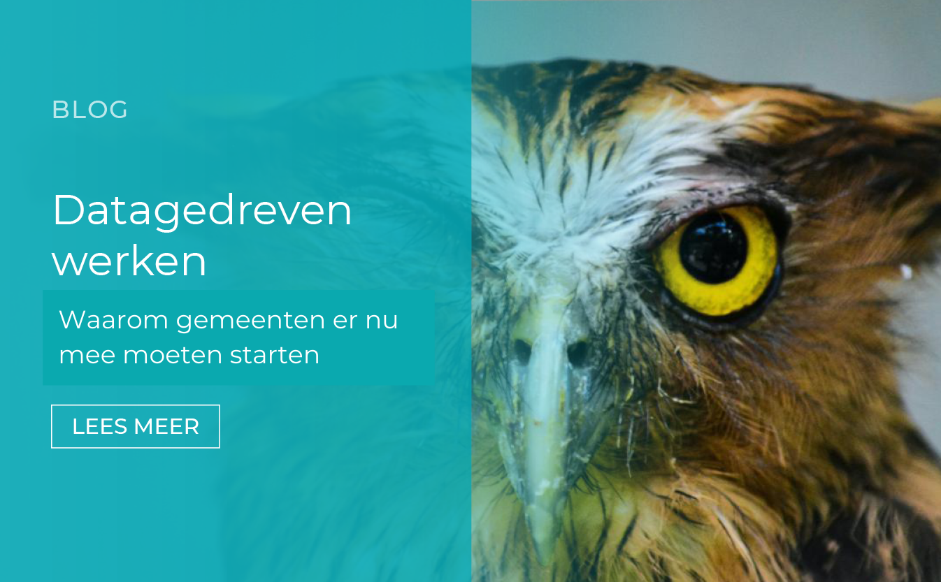 Datagedreven werken bij gemeenten